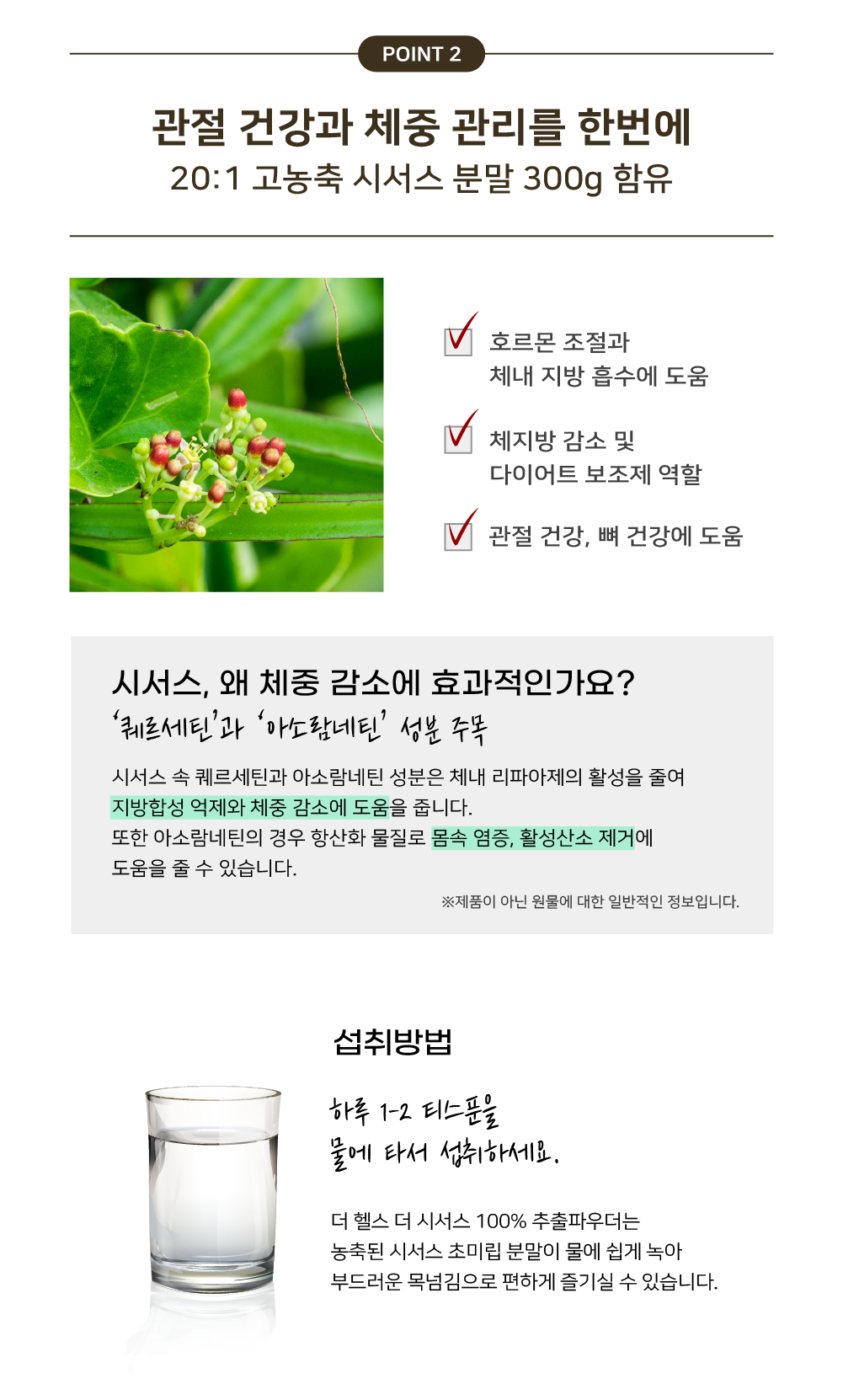 TH_The Cissus Extract Powder 300g_thumb5.png